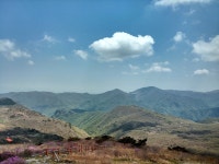 재약산 - 표충사)  다녀 왔습니다. 5/1 영남알프스 (배내고개 - 능동산 - 능동2봉 - 천황산 - 재약산 - 표충사)  다녀 왔습니다.