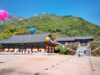 재약산 - 표충사)  다녀 왔습니다. 5/1 영남알프스 (배내고개 - 능동산 - 능동2봉 - 천황산 - 재약산 - 표충사)  다녀 왔습니다.