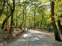 재약산 - 표충사)  다녀 왔습니다. 5/1 영남알프스 (배내고개 - 능동산 - 능동2봉 - 천황산 - 재약산 - 표충사)  다녀 왔습니다.