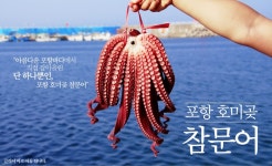 뽐뿌:업체게시판 - [포항죽도수산] 동해안 프리미엄 명품 홍게!... [포항죽도수산] 동해안 프리미엄 명품 홍게! 박달홍게급! 판매합니다. 수율 70... 