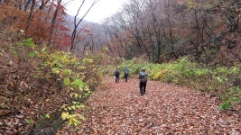 [100대명산-65차]세남자와의 산행 - 김천 황악산 - 뽐뿌:등산포럼 [100대명산-65차]세남자와의 산행 - 김천 황악산