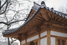 [a6000 | 삼양 50.2] 점심 스냅 (22장) - 뽐뿌:사진/카메라 [a6000 | 삼양 50.2] 점심 스냅 (22장)