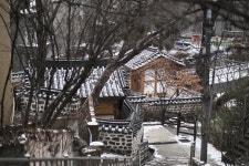 삼양화인테크놀로지주식회사구내식당 | [a6000 | 삼양 50.2] 점심 스냅 (22장) - 뽐뿌:사진/카메라 [a6000 | 삼양 50.2] 점심 스냅 (22장)
