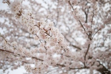 여행갈때는 16-35 vs 24-70 ? - 뽐뿌:사진/카메라 여행갈때는 16-35 vs 24-70 ?