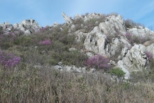 소석문-동봉-서봉-덕룡봉-주작산-오소재 - 뽐뿌:등산포럼 16.4.10 무박... 덕룡,주작산 진달래 산행. 소석문-동봉-서봉-덕룡봉-주작산-오소재