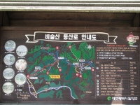 뽐뿌:등산포럼 - 뒤늦게 갔다온 비슬산 뒤늦게 갔다온 비슬산