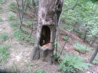 뽐뿌:등산포럼 - 100대 명산 96번째 화악산(데이터 주의) 100대 명산 96번째 화악산(데이터 주의)