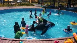 대전 로하스 캠핑장 입니다. - 뽐뿌:캠핑포럼 대전 로하스 캠핑장 입니다.