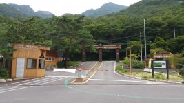 뽐뿌:캠핑포럼 - 닷돈재 풀옵션 캠핑장 7월22일 후기