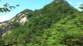 영봉 주봉 연계산행 간단후기입니다. [사진21] 8월20일 토요일 백두대간 [조형- 하늘재] 조흘산 영봉 주봉 연계산행... 
