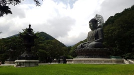 뽐뿌:등산포럼 - 뒤늦게 올리는 8월 15~16일 설악산 간단후기입니다. 뒤늦게 올리는 8월 15~16일 설악산 간단후기입니다.