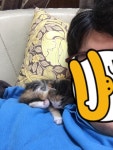 뽐뿌:동식물포럼 - 뀽이가 드디어 응가를 했어요.
