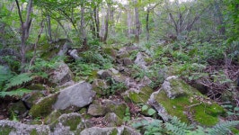 16/09/23 월봉산~거망산 (멋진 산들이 참 많구나) (70pic) - 뽐뿌:등산포럼 16/09/23 월봉산~거망산 (멋진 산들이 참 많구나) (70pic)