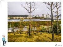 광교산 단풍 산행을 다녀왔습니다. - 뽐뿌:등산포럼 광교산 단풍 산행을 다녀왔습니다.