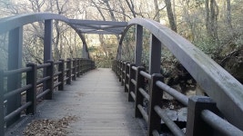 뽐뿌:등산포럼 - 12월 7일 한라산 성판악 -> 백록담 -> 관음사 -> 공항가는길  약23km