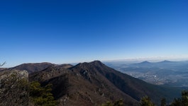 <12/11 양산 죽바우등의 오색딱따구리와 갈색양진이> -사진 50장 - 뽐뿌:등산포럼 <12/11 양산 죽바우등의 오색딱따구리와 갈색양진이... 