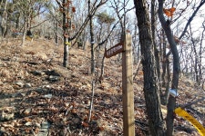 영남알프스 문복산...2016년의 마지막을 장식하다!!!(운문령-신원봉-학대산-문복산-서담골봉-대부산-산내버스정류장) 2016/12/31 - 뽐뿌... 