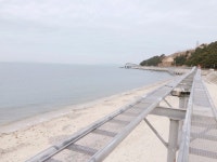 대천 레일바이크 - 뽐뿌:자유게시판 대천 레일바이크