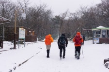 뽐뿌:등산포럼 - 17. 1. 22 [54 pic] 비밀스러운 하루, 제주 한라산(어리목~사재비동산~만세동산~윗세오름~선작지왓~영실)