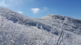 덕유산 다녀왔습니다. 170212 - 뽐뿌:등산포럼 덕유산 다녀왔습니다. 170212