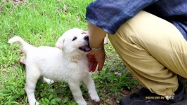 개좋아.스압 - 뽐뿌:자유게시판 개좋아.스압