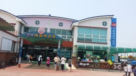 고창 만돌갯벌체험장 조개잡이 - 뽐뿌:캠핑포럼 고창 만돌갯벌체험장 조개잡이