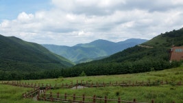 [영남알프스] 간월재 신불산 영축산 산행기 - 뽐뿌:등산포럼 [영남알프스] 간월재 신불산 영축산 산행기