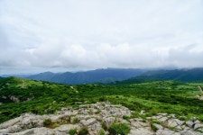 뽐뿌:등산포럼 - <8/13 양산 영축산의 백로와 까마귀> - 사진50장