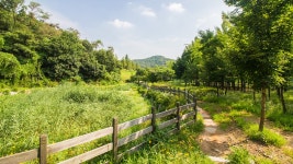 목포평화광장, 정서진, 원적산공원 - 뽐뿌:사진/카메라 목포평화광장, 정서진, 원적산공원