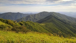 08-27 여름을 보내며 다녀온 소백산 산행후기 - 뽐뿌:등산포럼 08-27 여름을 보내며 다녀온 소백산 산행후기