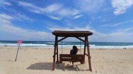 뽐뿌:캠핑포럼 - 현재 망상 오토캠핑장입니다. 현재 망상 오토캠핑장입니다.