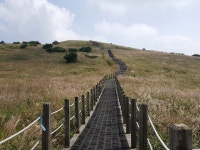 뽐뿌:등산포럼 - 영남알프스 환종주 1/2 (달오름길,억새바람길,단조성터길)  사진 85장