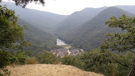 9월23일 불갑산 꽃무릇 산행후기 (16장) - 뽐뿌:등산포럼 9월23일 불갑산 꽃무릇 산행후기 (16장)