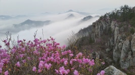 덕룡 주작 두륜산 그리고 달마산 (묵은 산행기 올려봐요) - 뽐뿌:등산포럼 덕룡 주작 두륜산 그리고 달마산 (묵은 산행기 올려봐요)