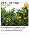 뽐뿌:뽐뿌게시판 - [스토어팜]  제주 무농약 극조생 귤 10kg  [30,000원/무배] [스토어팜]  제주 무농약 극조생 귤 10kg  [30,000원/무배]