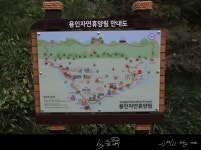 딸내미와 용인자연휴양림 백패킹으로 즐기기. - 뽐뿌:캠핑포럼 딸내미와 용인자연휴양림 백패킹으로 즐기기.