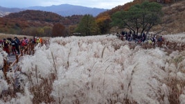 뽐뿌:등산포럼 - 명성산 다녀갑니다 명성산 다녀갑니다