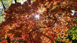 2017/10/22 거북이 오서산 산행, 광성주차장-내원사-정상-오서정-광성주차장(임도) - 뽐뿌:등산포럼 2017/10/22 거북이 오서산 산행... 
