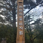 뽐뿌:자유게시판 - 어제는 비자림 다녀왔어요! 어제는 비자림 다녀왔어요!