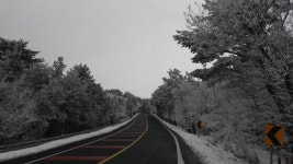 뽐뿌:자유게시판 - 제주도에서 몇년동안 변함없는거...