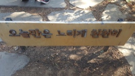 오름투어~^^제주 810번 820번 버스~ - 뽐뿌:등산포럼 오름투어~^^제주 810번 820번 버스~
