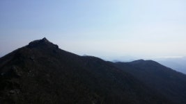 뽐뿌:등산포럼 - 순천 조계산과 광양 백운산 간단 산행기 (사진14장)