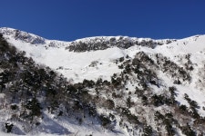 뽐뿌:등산포럼 - 한라산 산행 (관음사~성판악)( 영실~ 돈내코) 사진많음