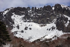 뽐뿌:등산포럼 - 한라산 산행 (관음사~성판악)( 영실~ 돈내코) 사진많음