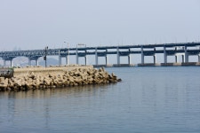 <봄까지꽃의 개화와 광안대교 앞 바다풍경>-사진 20장 - 뽐뿌:등산포럼 <봄까지꽃의 개화와 광안대교 앞 바다풍경>-사진 20장