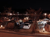 울산 태화연캠핑장 후기 (With 피아노맨2) - 뽐뿌:캠핑포럼 울산 태화연캠핑장 후기 (With 피아노맨2)