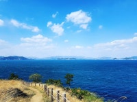 뽐뿌:등산포럼 - 지난 주말 거제도 대금산 진달래 구경하고 왔어요~