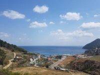뽐뿌:등산포럼 - 지난 주말 거제도 대금산 진달래 구경하고 왔어요~