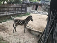 뽐뿌:자유게시판 - 동물