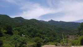 뽐뿌:등산포럼 - 20180603 거북이 구병산 산행, 적암리-구병산-853봉-신선대-적암리